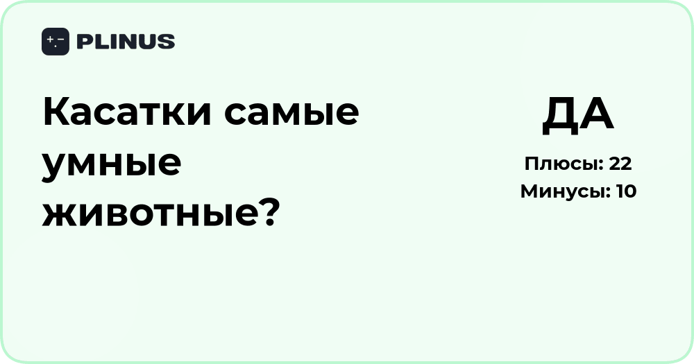 Касатки самые умные животные? Научный анализ и факты