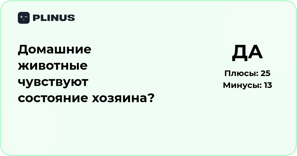 Домашние животные чувствуют состояние хозяина? Анализ и факты