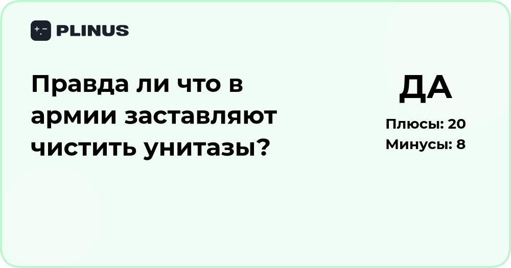 Правда ли, что в армии заставляют чистить унитазы? Разбор ситуации