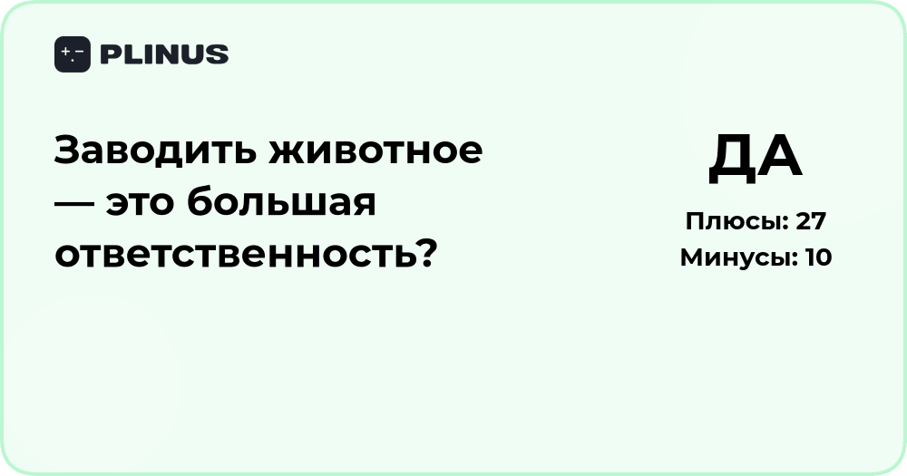 Заводить животное — это большая ответственность? Анализ решения