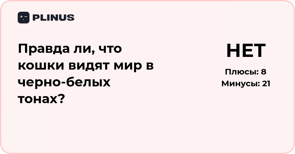Правда ли, что кошки видят мир в черно-белых тонах? Разбор фактов