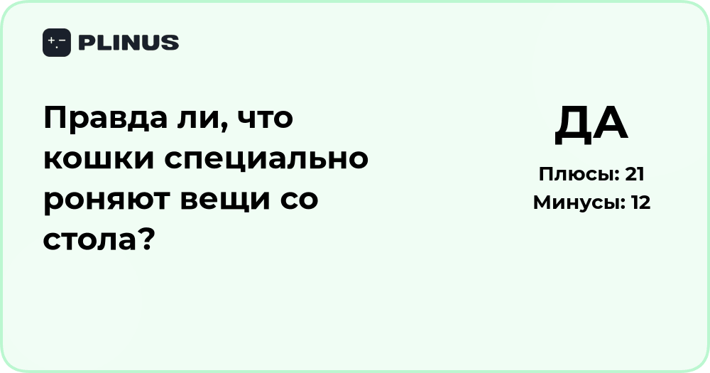 Почему кошки роняют вещи со стола? Анализ поведения питомцев