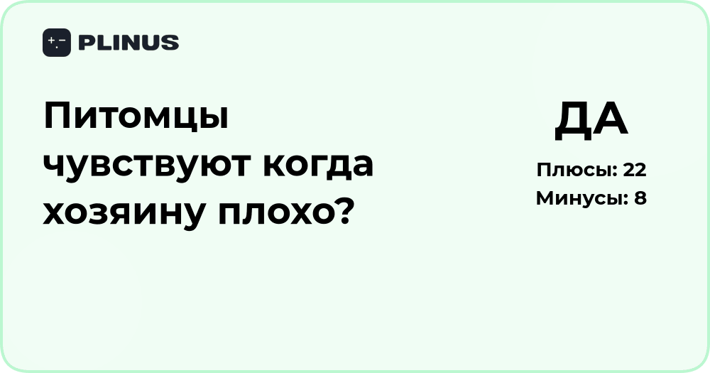 Питомцы чувствуют, когда хозяину плохо? Научный анализ поведения