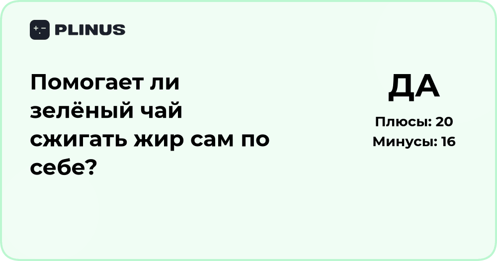 Помогает ли зелёный чай сжигать жир? Анализ эффективности