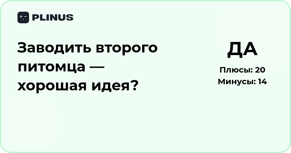 Заводить второго питомца — хорошая идея? Анализ решения