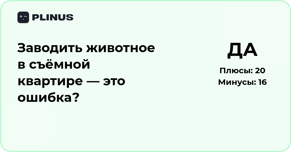 Заводить животное в съёмной квартире — ошибка или разумный выбор?